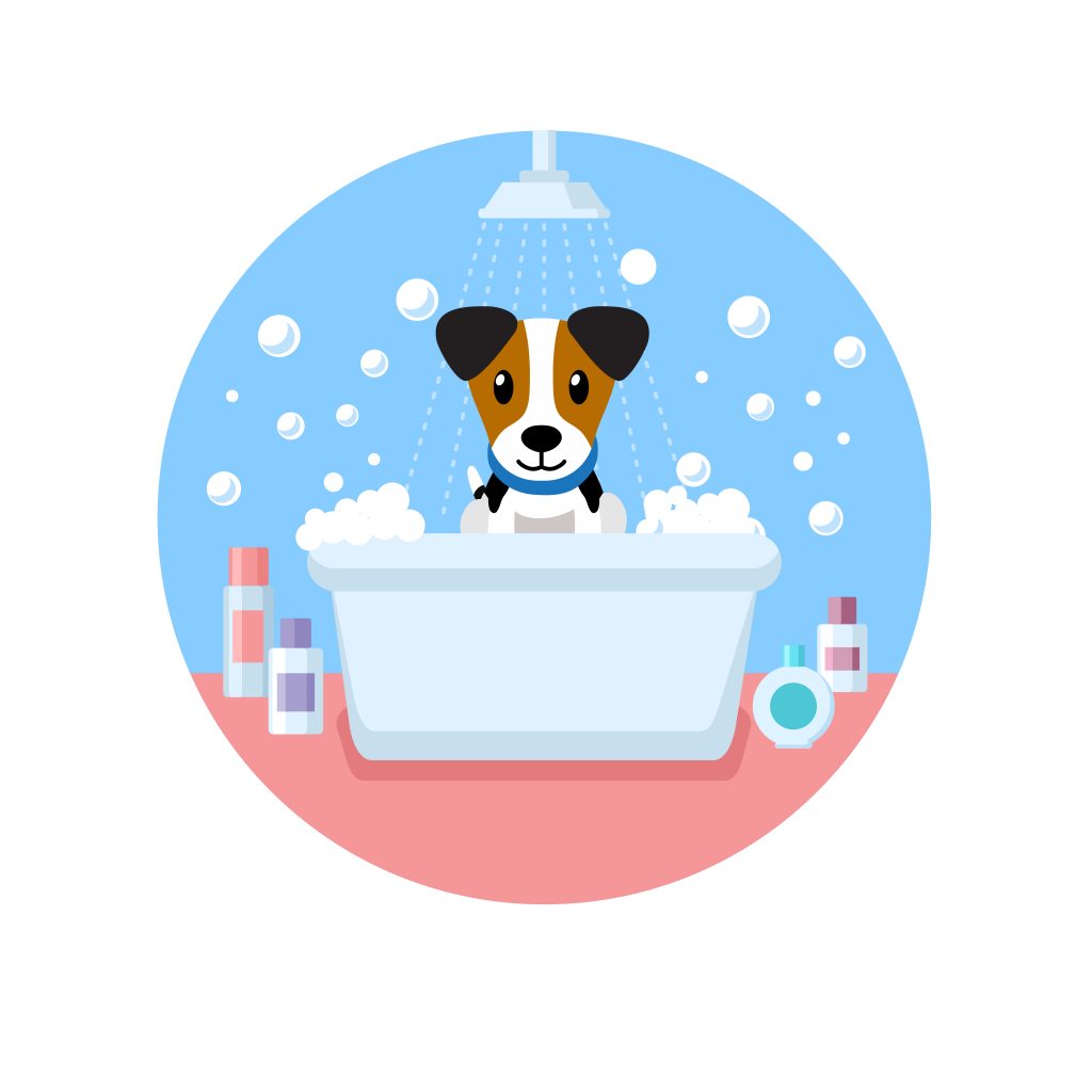 Home Bubbles & Barks of Chesterfield, Derbyshire